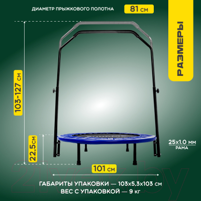 Батут Sundays D101