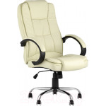 Кресло офисное TopChairs Atlant D-430