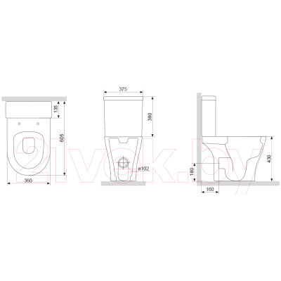 Унитаз напольный Damixa Sirius DX86C8600SC