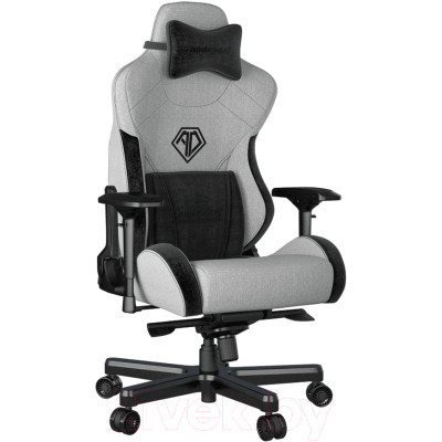 Кресло геймерское AndaSeat T-Pro 2 / AD12XLLA-01-GB-F