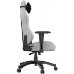 Кресло геймерское AndaSeat T-Pro 2 / AD12XLLA-01-GB-F