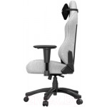 Кресло геймерское AndaSeat T-Pro 2 / AD12XLLA-01-GB-F