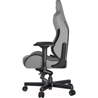 Кресло геймерское AndaSeat T-Pro 2 / AD12XLLA-01-GB-F