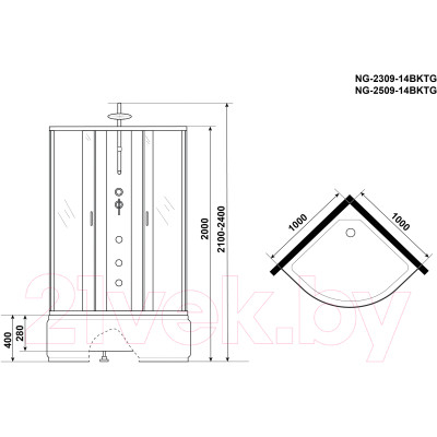 Душевая кабина Niagara NG-2309-14BKTG 100x100x200