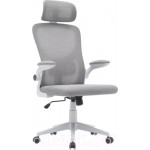 Кресло офисное TopChairs Airone D-502-1