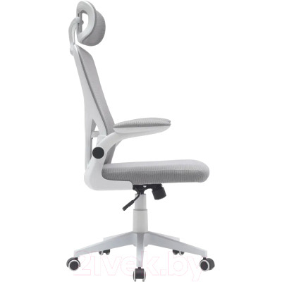 Кресло офисное TopChairs Airone D-502-1