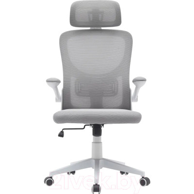 Кресло офисное TopChairs Airone D-502-1