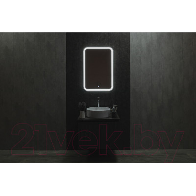 Зеркало Silver Mirrors Мальта-ТХ 55x80 / LED-00002698