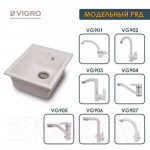 Мойка кухонная Vigro VG205