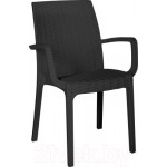 Стул пластиковый Ellastik Plast Rattan Ola Dom