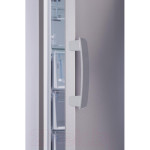 Морозильник Indesit DFZ 5175 G