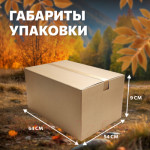 Кресло складное National Tree Company Для кемпинга / WY-5448N