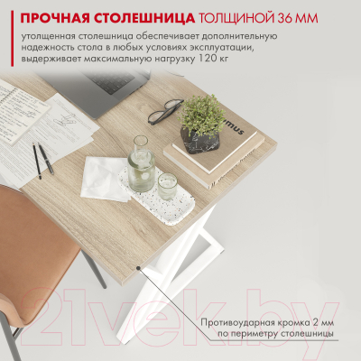 Письменный стол Domus Гранд / 12.016.403.06