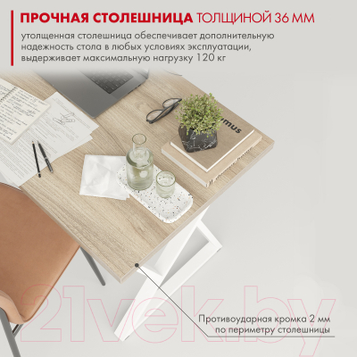 Письменный стол Domus СП014 / 12.014.403.06