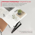 Письменный стол Domus СП014 / 12.014.403.02