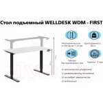 Письменный стол WellDesk WDM First 139.5x80x1.8